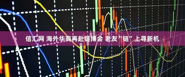 信汇网 海外华商再赴链博会 老友“链”上寻新机